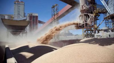 Las cerealeras liquidaron 7107 millones de dlares en septiembre impulsadas por las retenciones cero