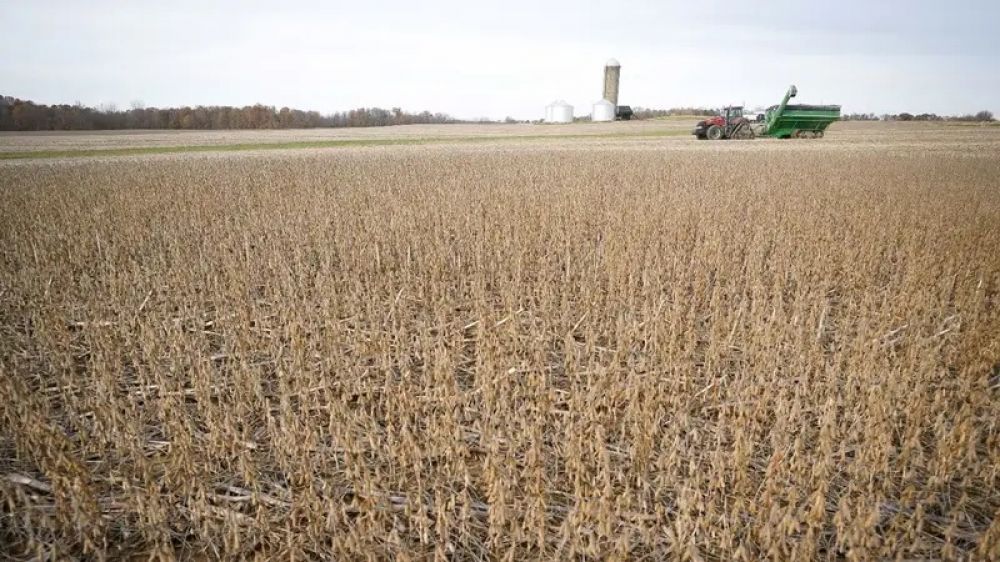 Arde la interna del agro: los productores venden a cuentagotas y pujan por el precio con los exportadores