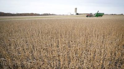 Arde la interna del agro: los productores venden a cuentagotas y pujan por el precio con los exportadores