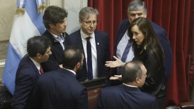 El Senado anul los vetos de Milei contra universidades y el Garrahan por una abrumadora mayora