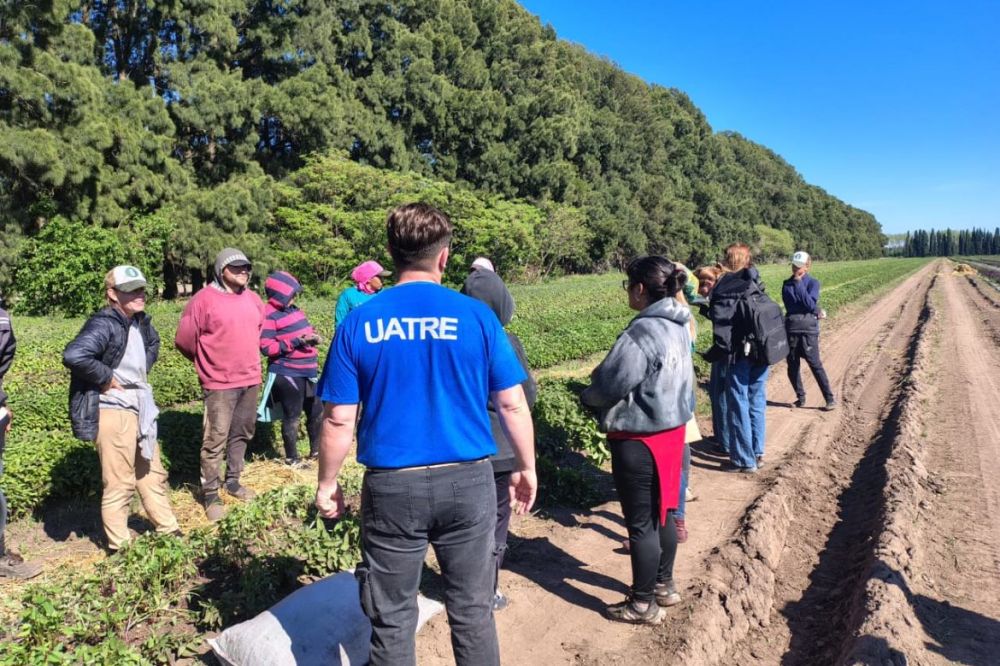 UATRE detect irregularidades en el 40% de los trabajadores rurales fiscalizados en San Pedro y Baradero