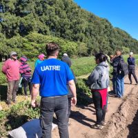 UATRE detect irregularidades en el 40% de los trabajadores rurales fiscalizados en San Pedro y Baradero