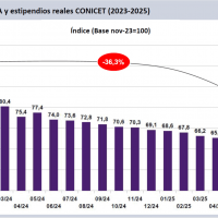 En septiembre, los salarios de cientficos volvieron a perder contra la inflacin y ya acumulan ms de 120 puntos de cada desde que asumi Milei