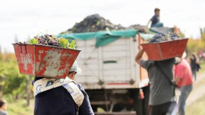 Vitivincolas cerraron las paritarias de bodegas y via con aumentos de hasta el 12%