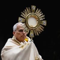 Un Papa que reza y quiere que la gente rece