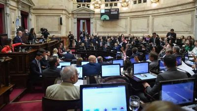 La disputa por el Senado: la otra pulseada que se juega el domingo