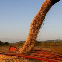 Despus de la euforia de septiembre, la liquidacin del agro se derrumb un 56% en octubre