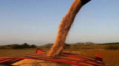 Despus de la euforia de septiembre, la liquidacin del agro se derrumb un 56% en octubre