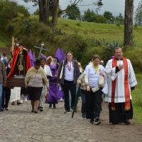 El Papa a los misioneros: 