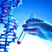 Un estudio gentico revela que el legado musulmn en el ADN espaol es casi inexistente