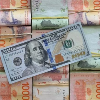 Por tensin cambiaria y desarme de plazos fijos, la base monetaria sufri en octubre su mayor cada en un ao y medio