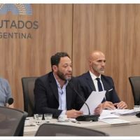 Informe final de $Libra: Diputados hablaron de estafa, apuntaron a Milei y denunciaron encubrimiento judicial