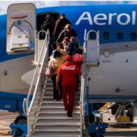 Aerolneas Argentinas y Coca Cola reanudaron su alianza comercial en todos los vuelos