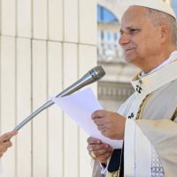 Papa Len XIV: Paz y libertad para los secuestrados en Nigeria y Camern