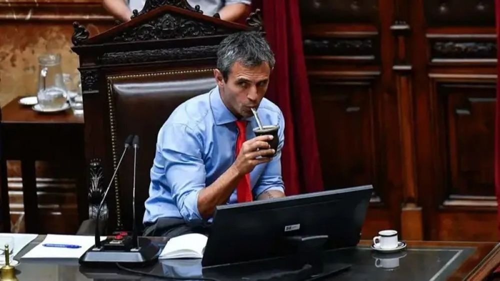 El Congreso que se viene: Menem ratificado y la primera minora de Diputados en disputa