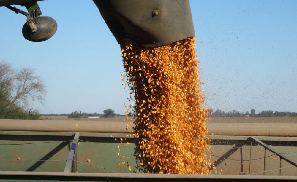 URGARA mantiene el 14 da de paro ante el silencio de la patronal a las demandas del sector