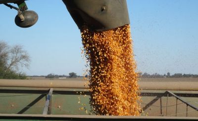 URGARA mantiene el 14 da de paro ante el silencio de la patronal a las demandas del sector