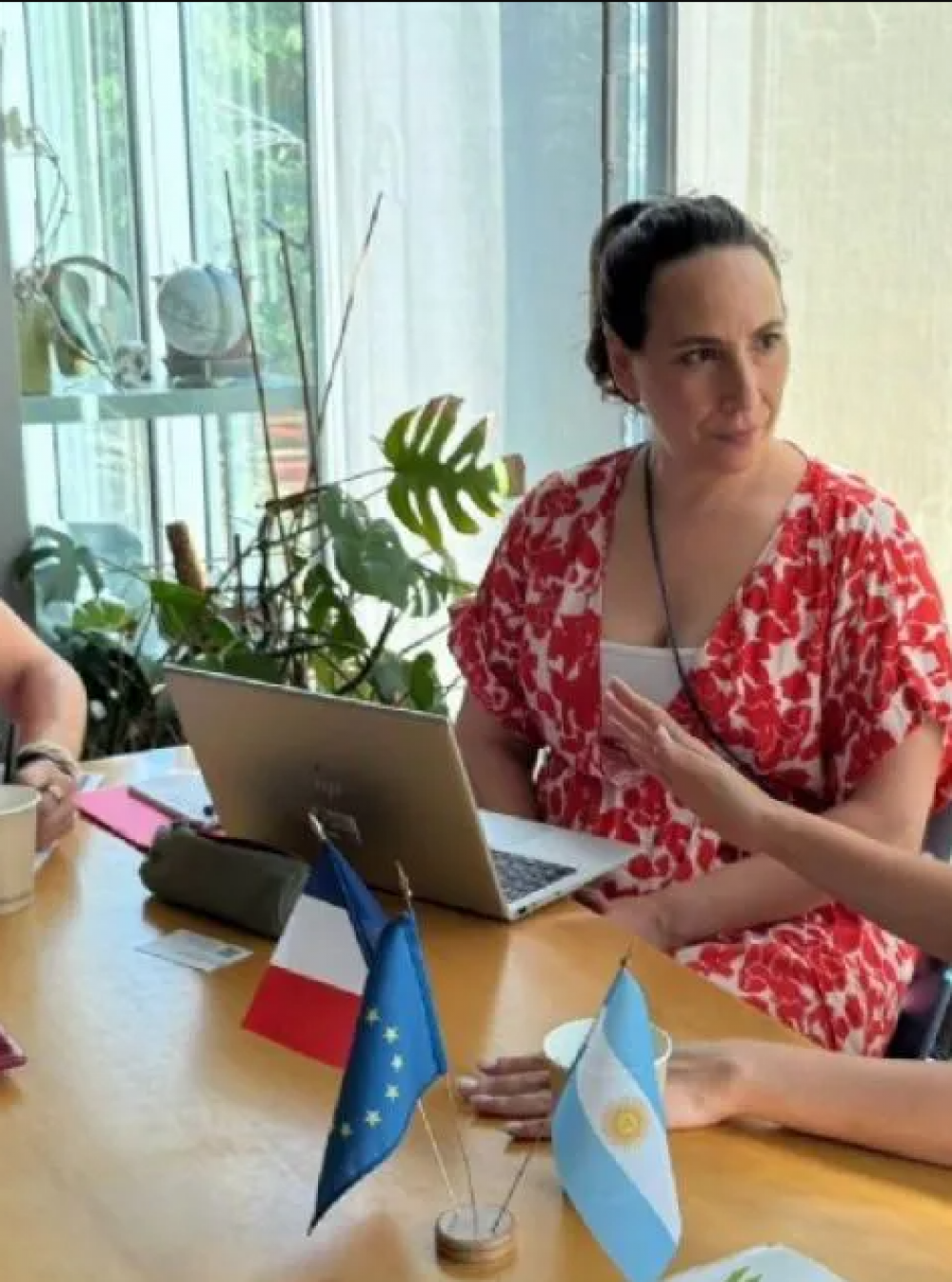 Proyectos mendocinos de transici�n energ�tica y GIRSU en la mira de inversores internacionales