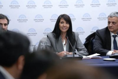 Patricia Bullrich no pudo acordar con la UCR y Lorena Villaverde no jura como senadora libertaria