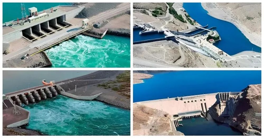 Privatizacin de las hidroelctricas: ganaron los Neuss, Central Puerto y MSU; Enel y AES, afuera!