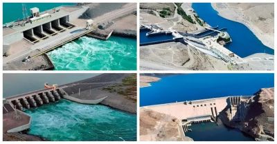 Privatizacin de las hidroelctricas: ganaron los Neuss, Central Puerto y MSU; Enel y AES, afuera!