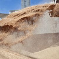 La recaudacin cay casi 9% real en noviembre por las retenciones cero