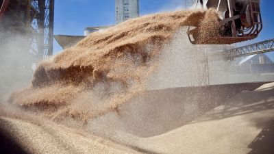 La recaudacin cay casi 9% real en noviembre por las retenciones cero