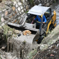 Importante retiro de residuos y basura del canal Pachi Gorriti