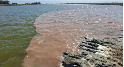 Procesaron al presidente de un frigorfico por arrojar residuos contaminantes al ro Salado