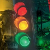 Si las industrias cierran por importaciones y bancos pierden fortunas, qu negocio es rentable en Argentina?