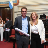 Legislatura: Gabriel Katopodis y Diego Valenzuela juraron pero pidieron licencia