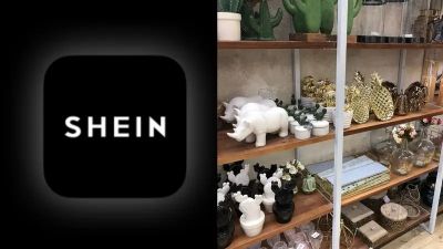 La importacin de bienes de consumo fue la ms alta en 20 aos