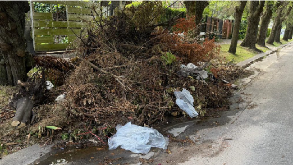 Malestar en el barrio Los Troncos por los restos de poda y basura
