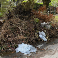 Malestar en el barrio Los Troncos por los restos de poda y basura