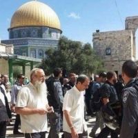 Cientos de colonos sionistas profanan los patios de la Mezquita de Al-Aqsa