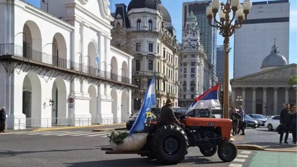 El nuevo rol del Instituto de la Yerba Mate: alineamiento ideol�gico y un mercado sin �rbitro
