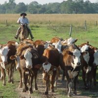 Tras la postergaci�n del tratamiento de la reforma laboral, en el Gobierno se mueven para flexibilizar la legislaci�n del trabajo rural