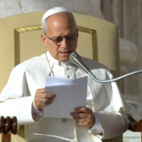 Le�n XIV: Presentemos todo al Se�or y confiemos en su misericordia