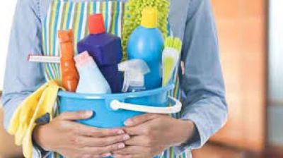 Alemania: Casi el 90% de los hogares alemanes emplea trabajadores dom�sticos de forma ilegal