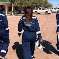 Tecnolog�a para el control ambiental y gesti�n de residuos: c�mo fue el 2025 de Neuqu�n