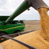 Con el Gobierno urgido de d�lares, las cerealeras preparan la presi�n por un nuevo d�lar soja