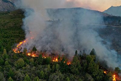 Varias provincias en �situaci�n cr�tica� por el avance de los incendios forestales
