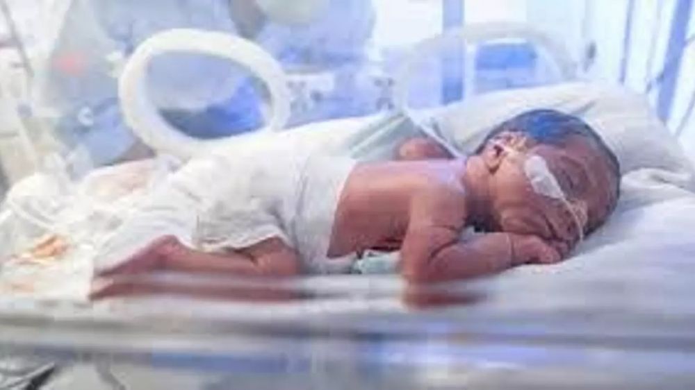 �Es literalmente la muerte de ni�os y de beb�s�: familias denuncian el vaciamiento del programa de Cardiopat�as Cong�nitas