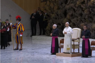 Primera Audiencia General del Papa Le�n XIV en el 2026