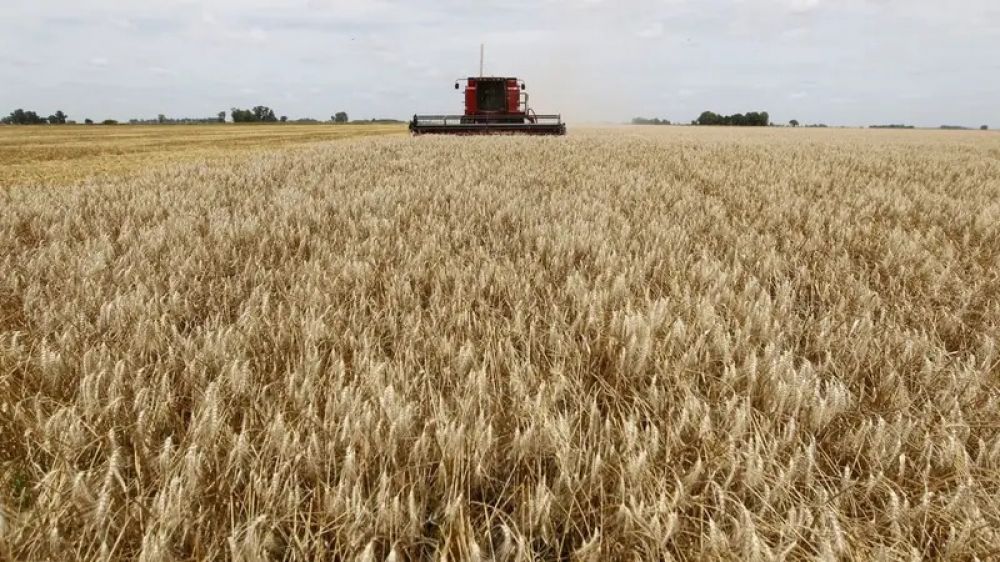 Agro y miner�a crecen, industria y construcci�n caen: el balance del modelo Milei