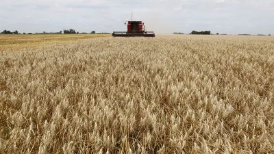 Agro y miner�a crecen, industria y construcci�n caen: el balance del modelo Milei