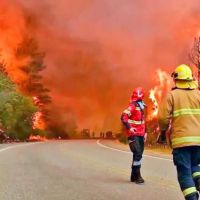 Politizaci�n fake de los incendios en la Patagonia: Javier Milei, Patricia Bullrich y las teor�as que se viralizan