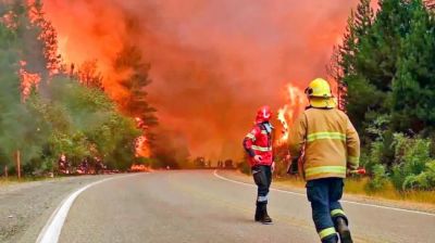 Politizaci�n fake de los incendios en la Patagonia: Javier Milei, Patricia Bullrich y las teor�as que se viralizan
