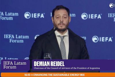 Otro libertario en la mira: investigan un sobreprecio del 140% en la limpieza de Atucha, presidida por Demian Reidel