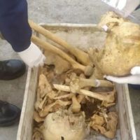 Encontraron cuatro cr�neos en el GIRSU